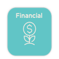 Financial Wellbeing Benefit Pillar