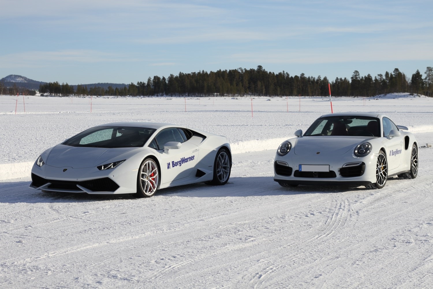 Porsche and Lamborghini