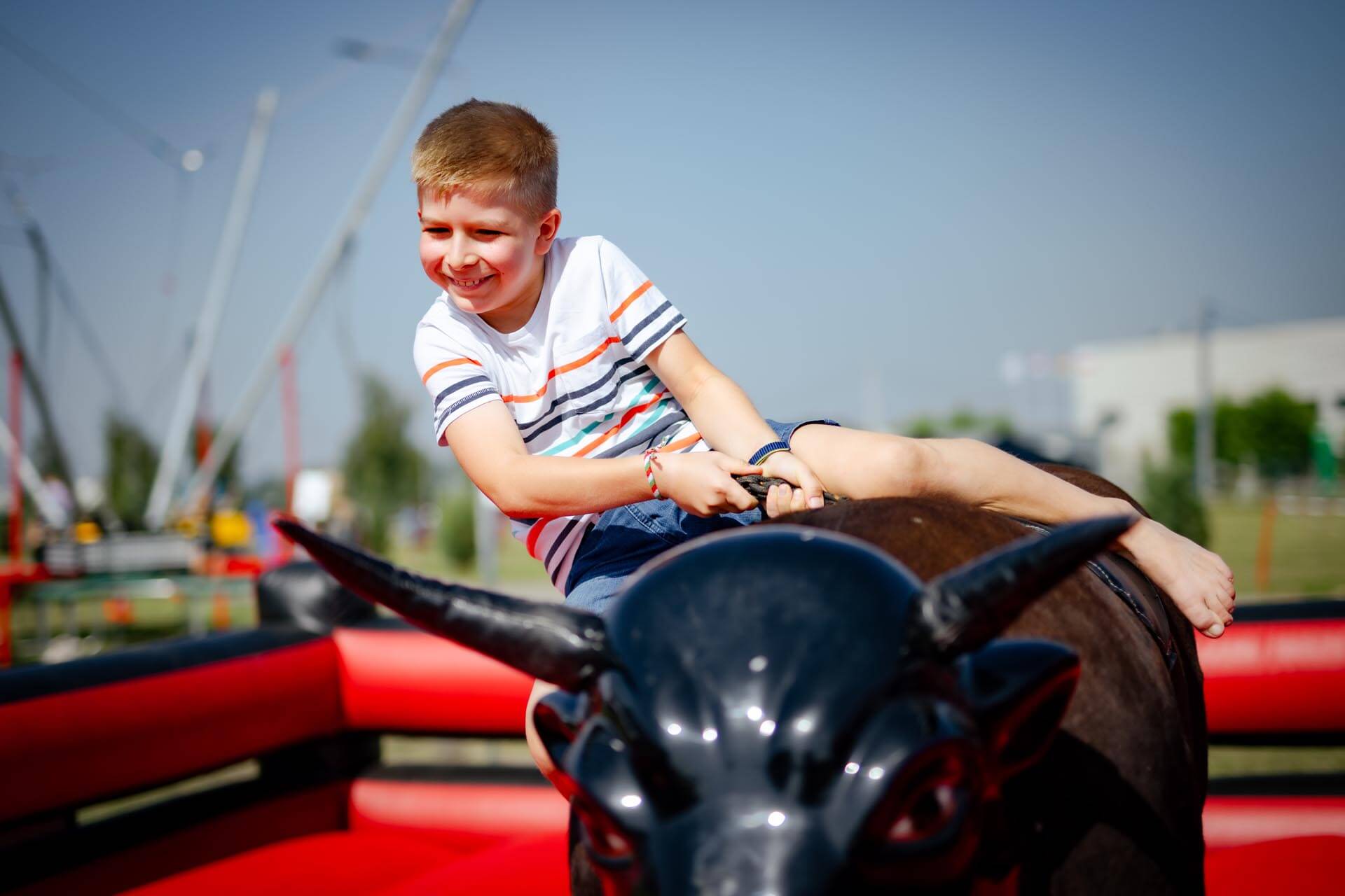 a boy on a cow